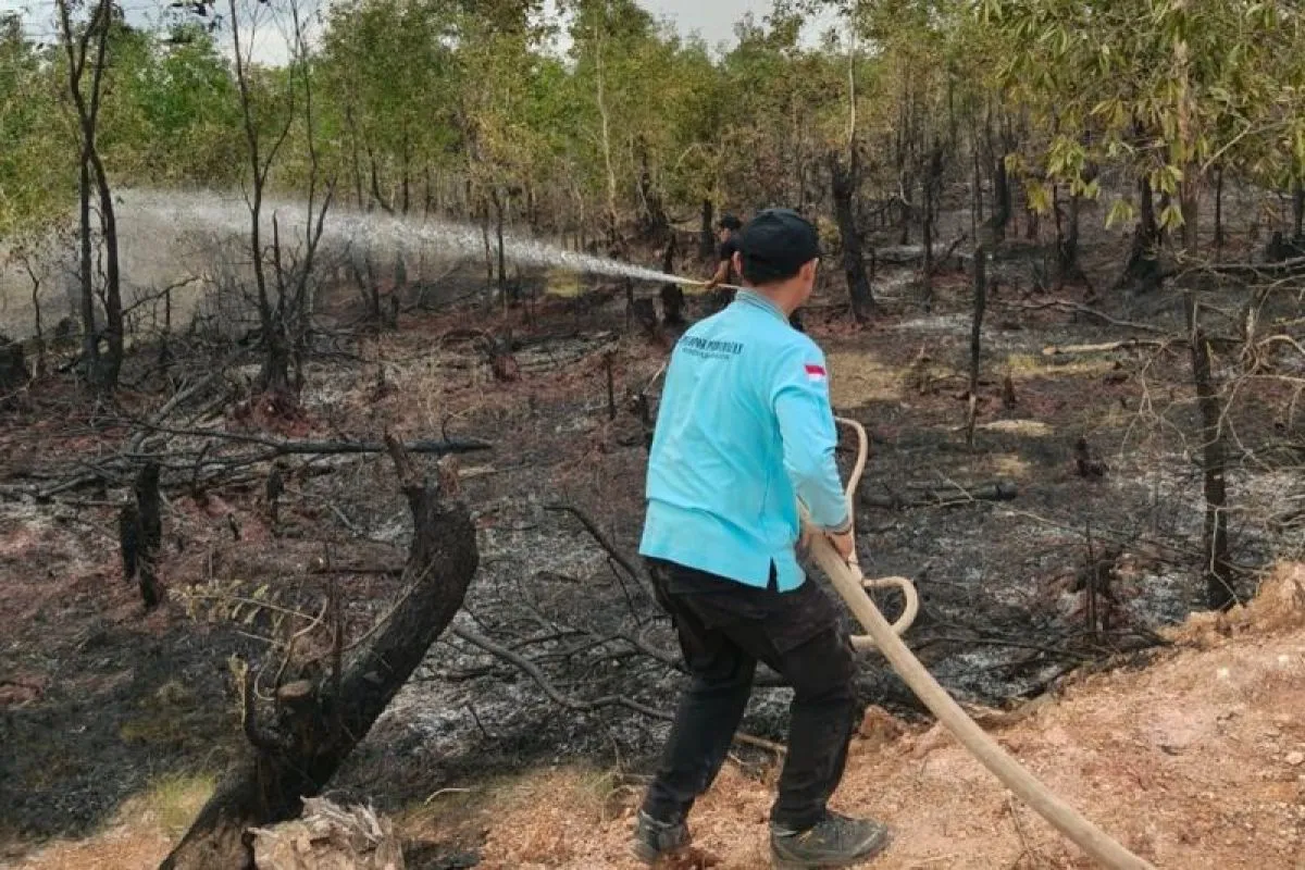 Foto editorial untuk berita Perubahan Iklim Menuntut Transformasi Pengelolaan Bencana di Indonesia