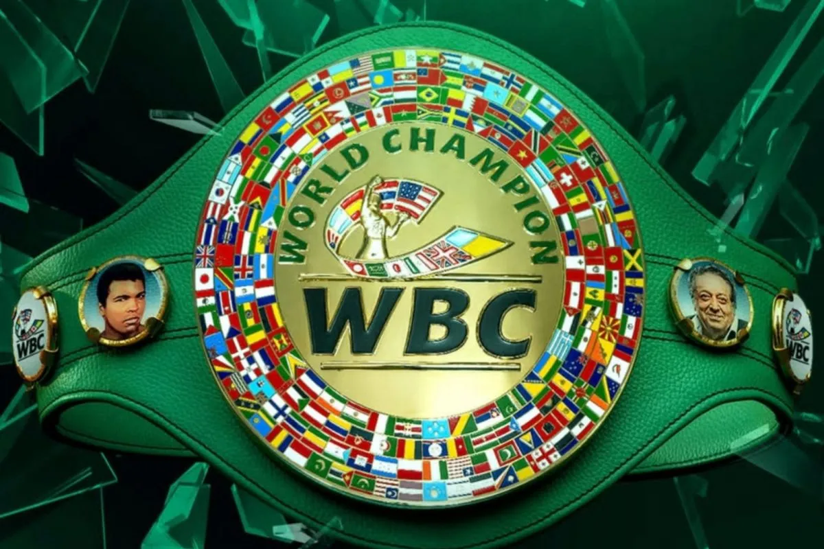 Foto editorial untuk berita WBC Rilis Peringkat Tinju Putra September 2026, Jepang Dominasi Tiga Divisi